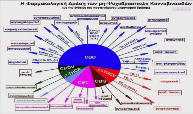 Σχηματική αναπαράσταση.