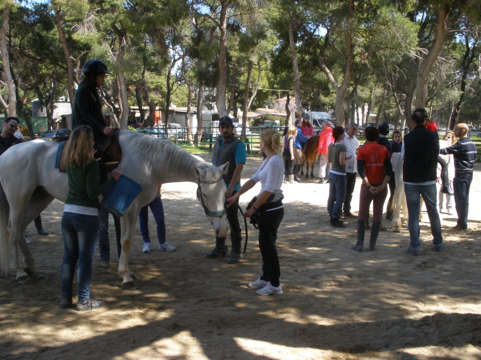 Φωτογραφία από τον Πανελλήνιο Σύλλογο Ιπποθεραπευτών και Εκπαιδευτών Θεραπευτικής Ιππασίας - ΠΑ.Σ.Ι.Ε.Θ.Ι.