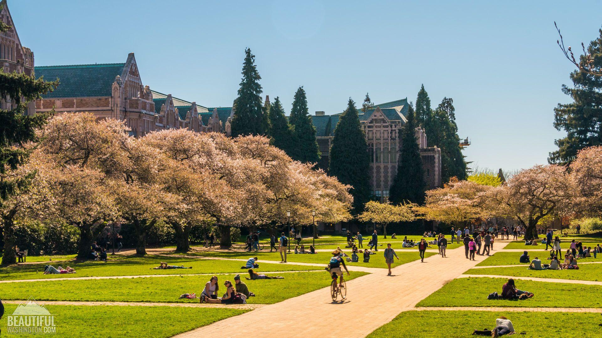 The University of Washington.