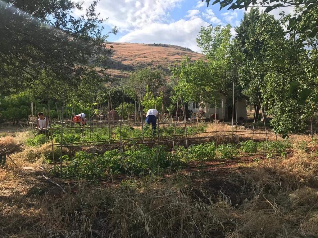 Αγγελία για κηπουρό (προσωπικό) στην Εστία Άγιος Νικολάος.