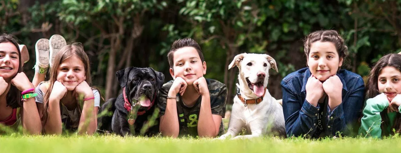 Ο οργανισμός Athens Therapy Dogs αναζητά επιστημονικό προσωπικό ως εθελοντές.